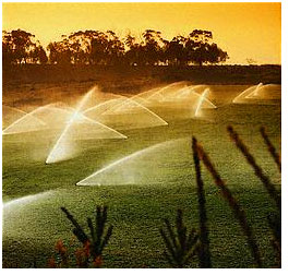 Apache Junction golf course benefits from our sprinkler repair services