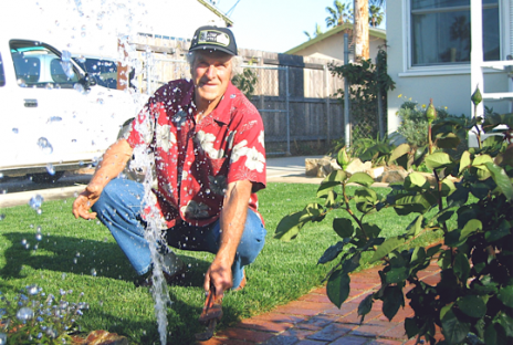 A Professional Mesa Sprinkler Repair Tech Locates a Broken Pop Up Head